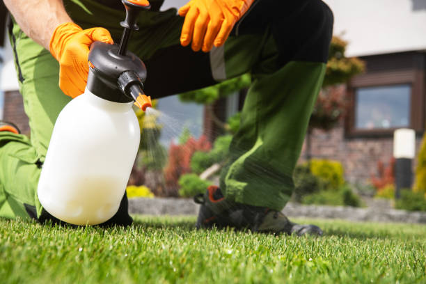 Best Pest Prevention Services  in Fort Smith, AR