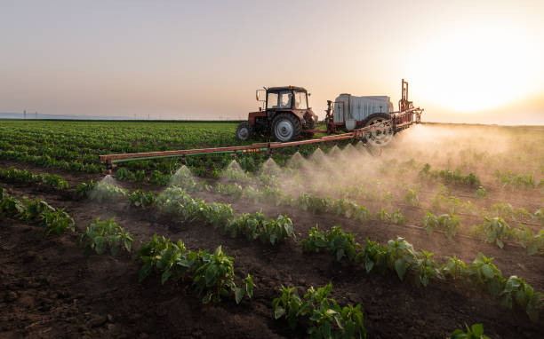 Best Mosquito Control Services  in Fort Smith, AR