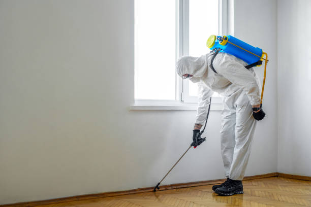 Best Insect Control  in Fort Smith, AR