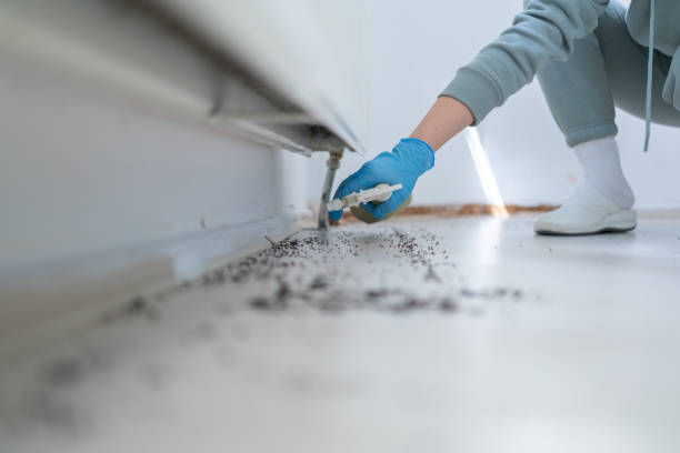 Best Mosquito Control Services  in Fort Smith, AR